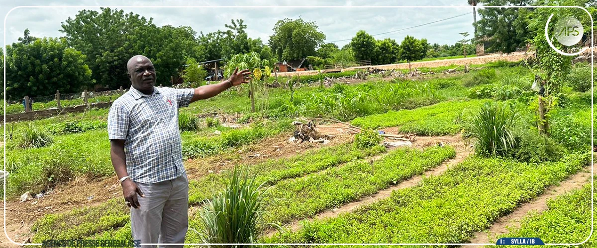 Le Mamacounda, un écosystème fluvial mythique en quête de valorisation