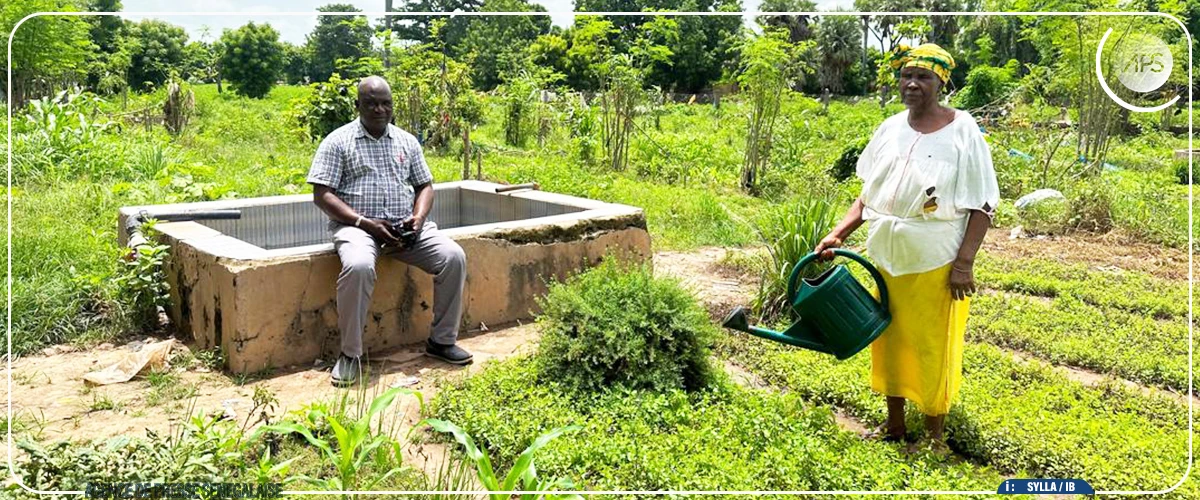 Le Mamacounda, un écosystème fluvial mythique en quête de valorisation