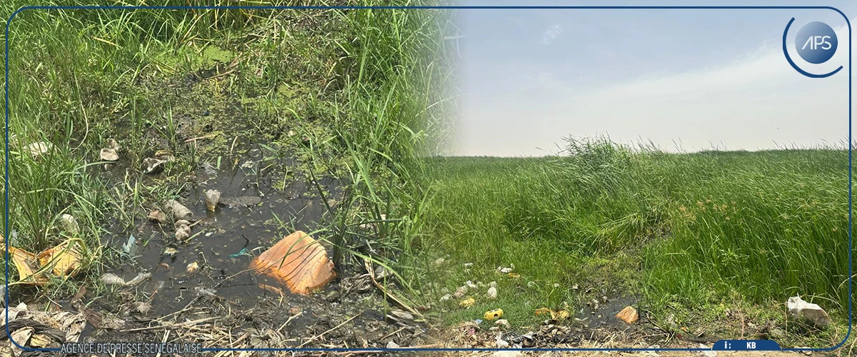 Un environnementaliste met en garde contre les risques de dégradation du lac de Guiers