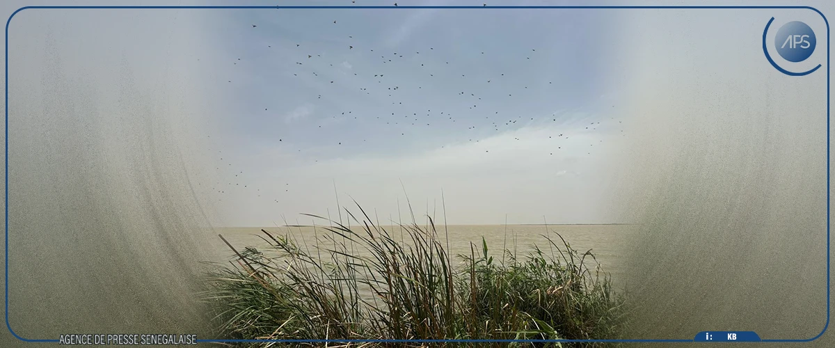 Un environnementaliste met en garde contre les risques de dégradation du lac de Guiers