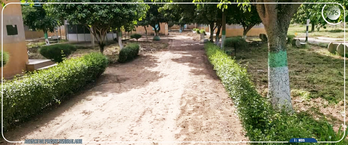 Rentrée scolaire : les derniers préparatifs dans les établissements de Kaffrine