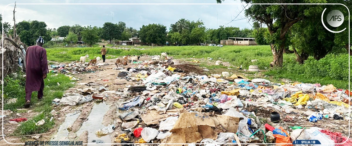 Le Mamacounda, un écosystème fluvial mythique en quête de valorisation