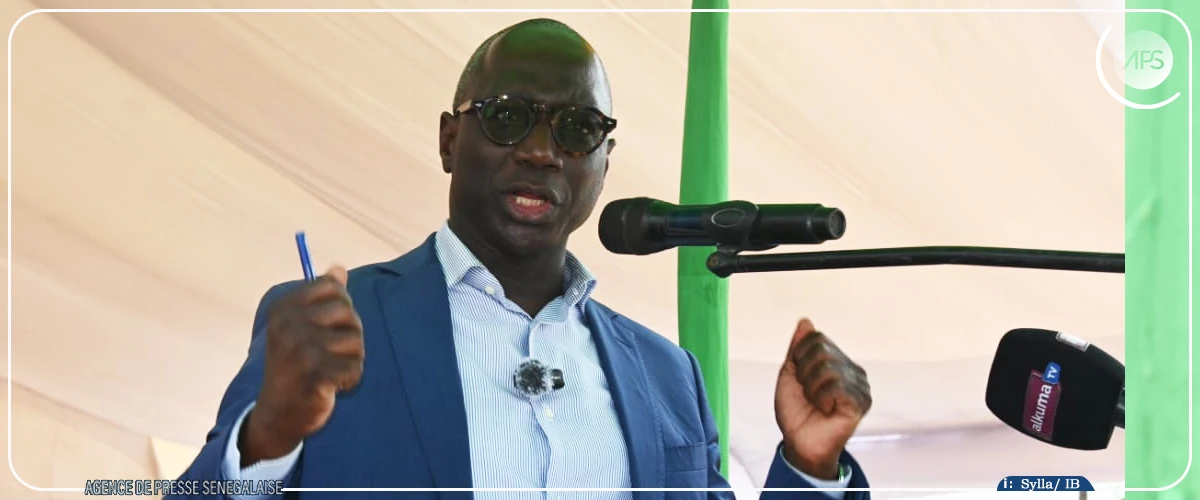 Lutte contre la rage : 2 000 chiens domestiques vaccinés, 1 635 chiens errants éliminés en 2024 (ministre)