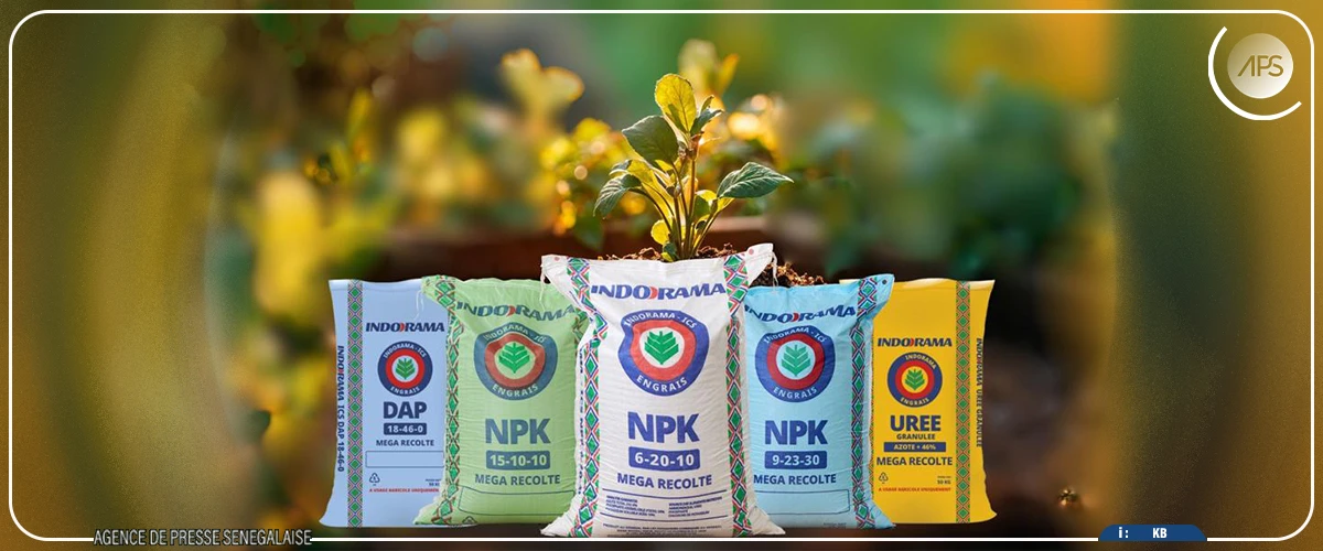 Campagne agricole 2025-2026 : les ICS livrent un volume record de 105 000 tonnes d’engrais