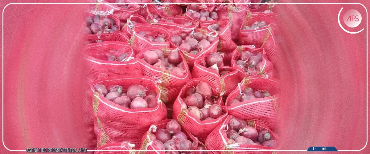Le gouvernement annonce la levée du gel des importations d’oignons (officiel)