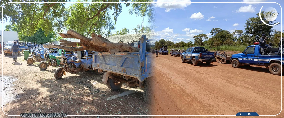Saraya : la gendarmerie démantèle deux sites d’orpaillage clandestins à Kolia (source sécuritaire)