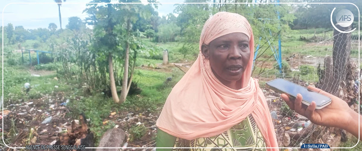 Le Mamacounda, un écosystème fluvial mythique en quête de valorisation