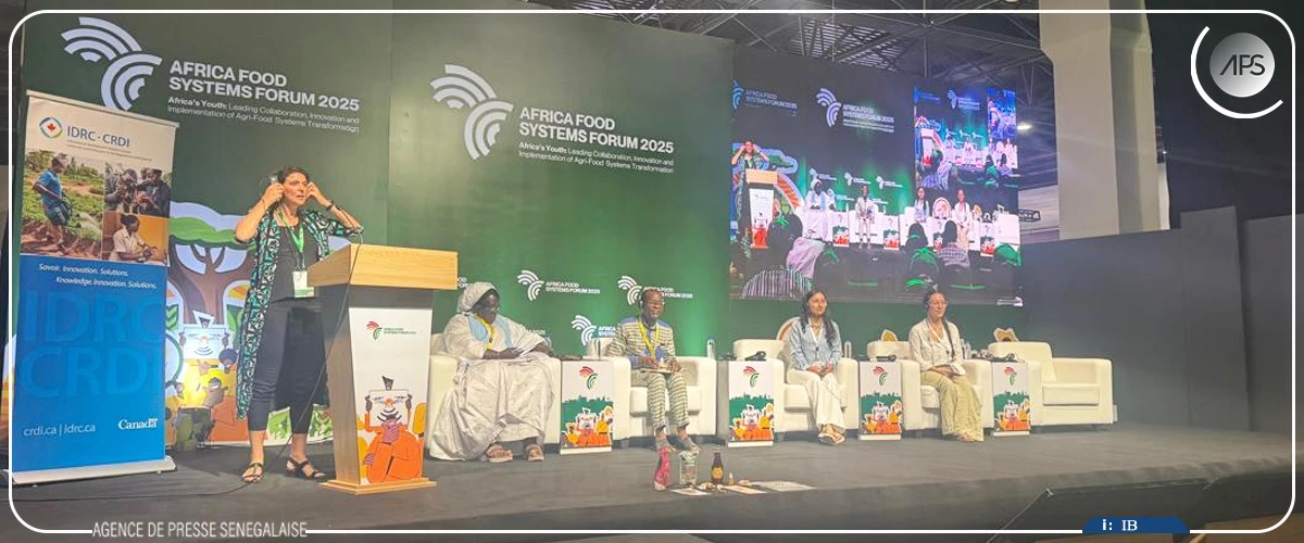 Semences paysannes, un symbole d’identité menacé