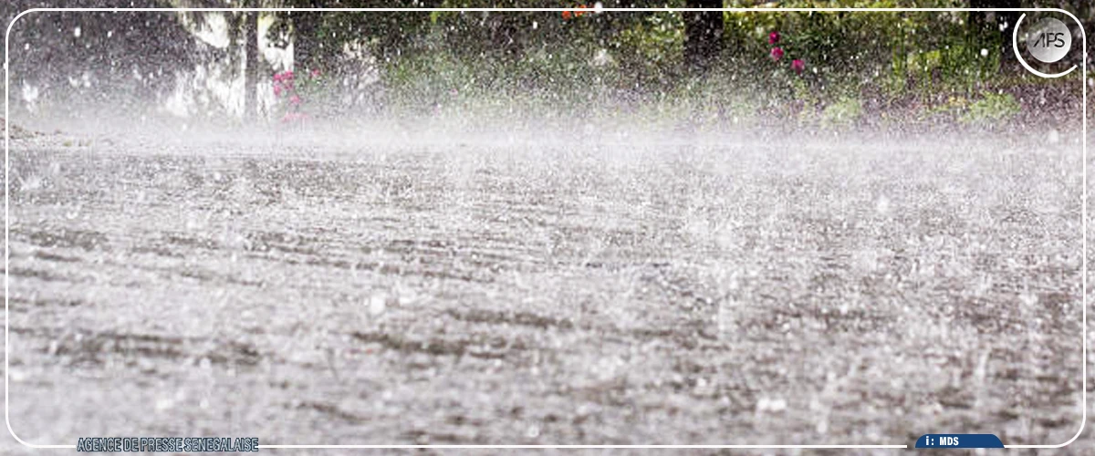 Saint-Louis a enregistré plus de pluie cette année que l’année dernière (météo)