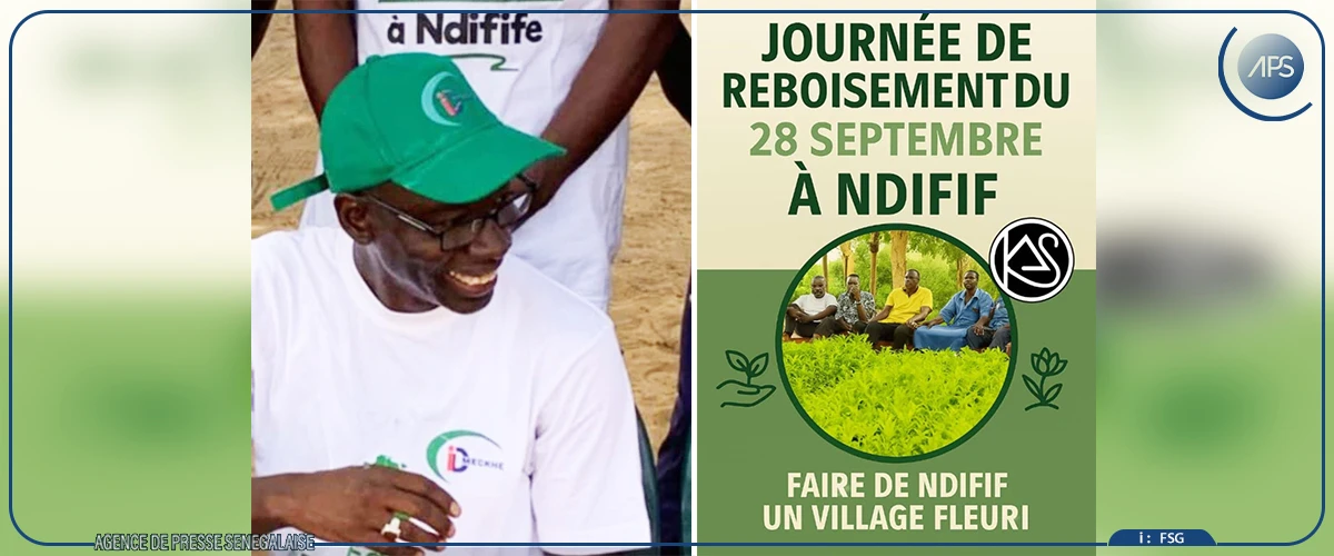 Pire : le programme “Nataal Ngaye” et l’association des jeunes de Ndiffif lancent un reboisement communautaire