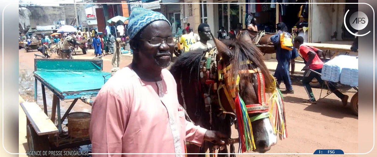 Touba : Seydina Ousmane Sall, un quart de siècle au service du transport hippomobile