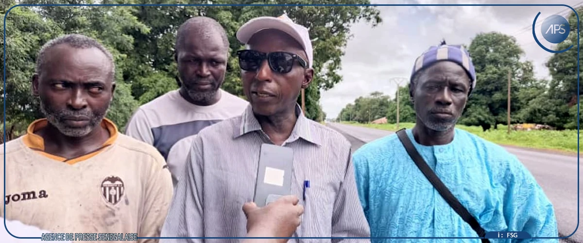 Vol de bétail : Ya Khady Tamba, symbole d'une détresse collective à Bona