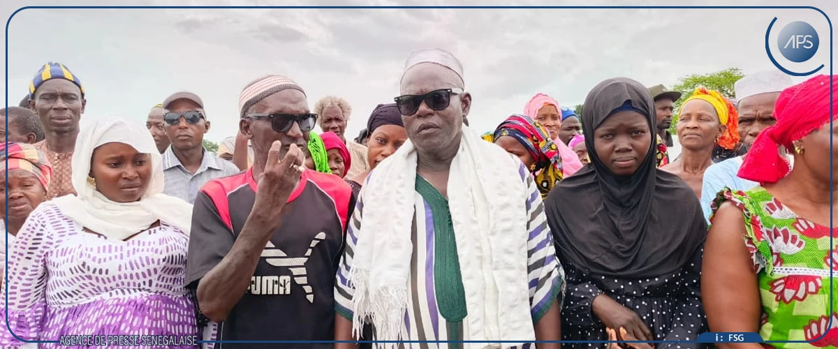 Vol de bétail : Ya Khady Tamba, symbole d'une détresse collective à Bona