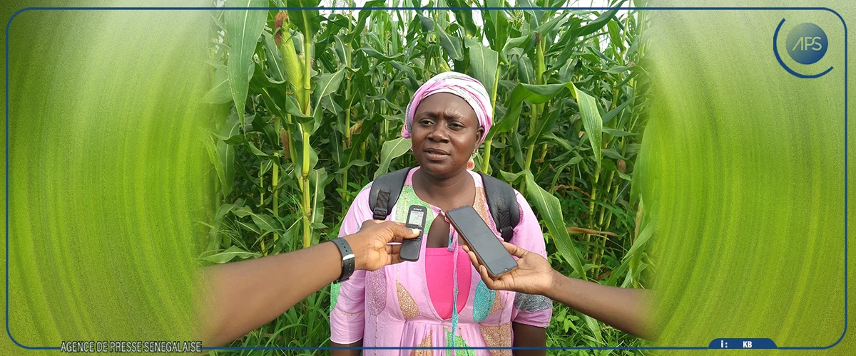 Salémata : un GIE confronté à un problème de commercialisation d'un important stock de riz et de maïs