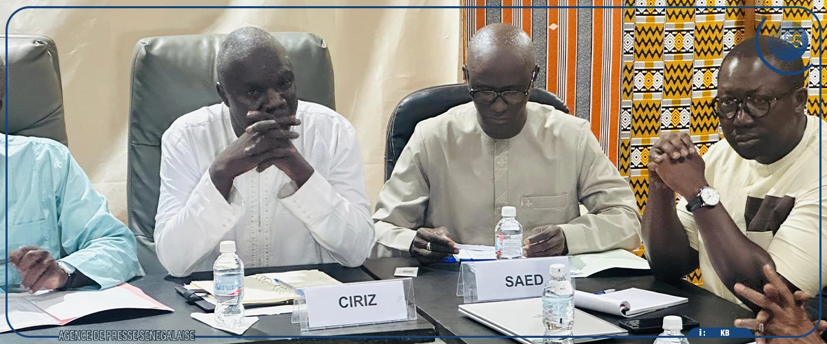 Saint-Louis : Mabouba Diagne salue les résultats agricoles ‘’historiques’’ de la SSC