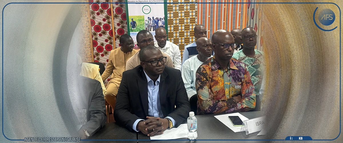 Saint-Louis : Mabouba Diagne salue les résultats agricoles ‘’historiques’’ de la SSC