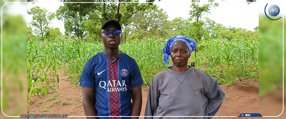 Saraya : des agricultrices réclament des intrants agricoles