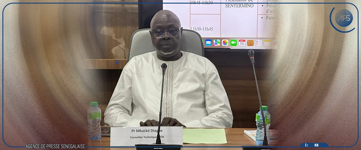 SENTERMINO, une plateforme numérique au profit des productions en langues nationales