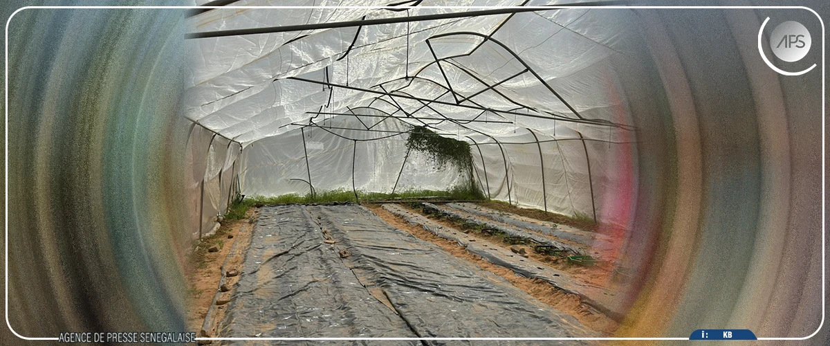 Richard-Toll : des élèves sensibilisés sur les modules enseignés à l’ISEP