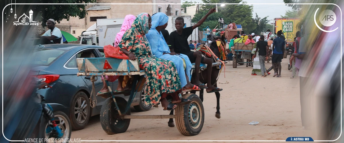 Tivaouane : les charrettes au cœur de l'économie du Gamou
