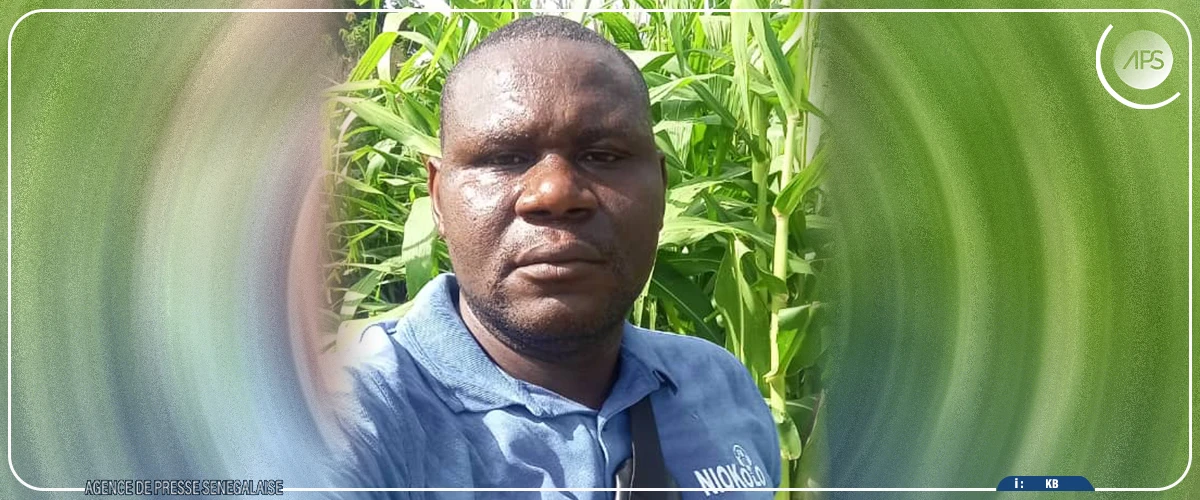 Kédougou : des périmètres agricoles submergés par la montée des eaux du fleuve Gambie