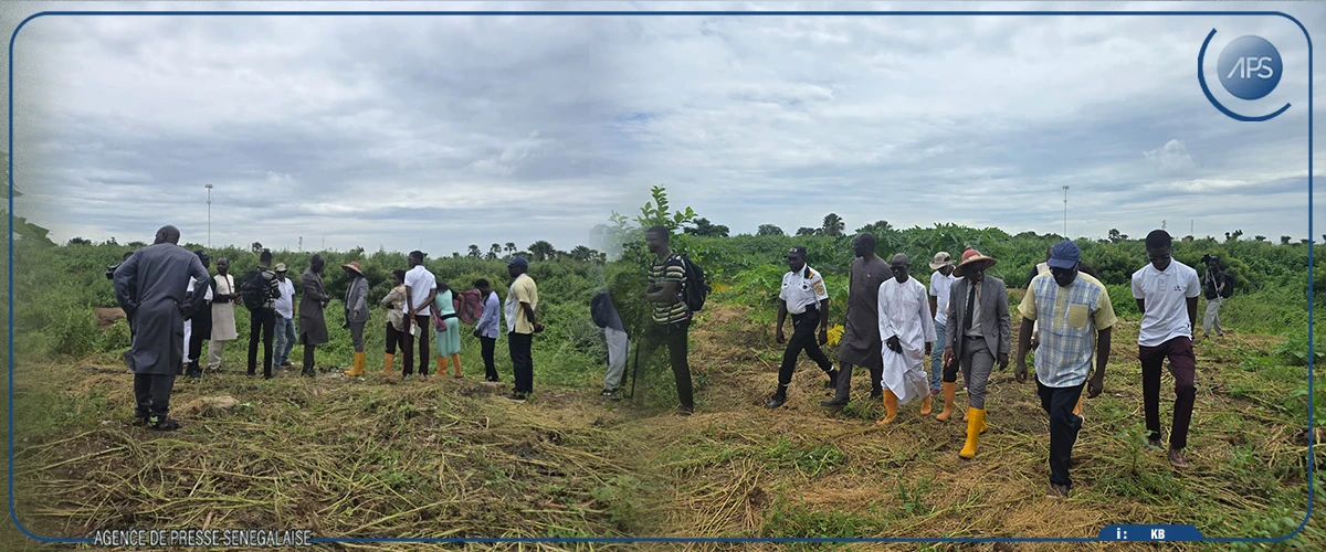 L'UIDT et l'ISRA signent une convention pour aider à l'atteinte de la souveraineté alimentaire