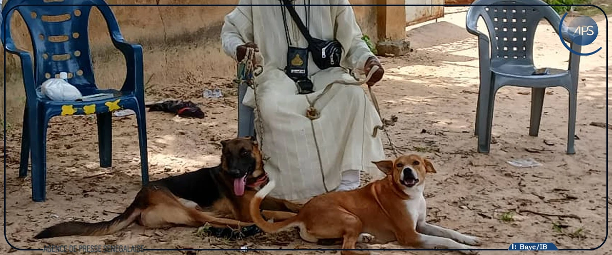 Kaolack : la journée de lutte contre la rage célébrée à Sibassor