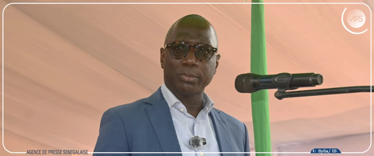 Lutte contre la rage : 2 000 chiens domestiques vaccinés, 1 635 chiens errants éliminés en 2024 (ministre)