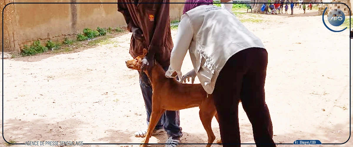 Kaolack : la journée de lutte contre la rage célébrée à Sibassor