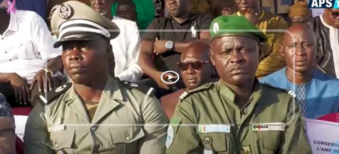 Cayar : la commune récompense l’excellence scolaire