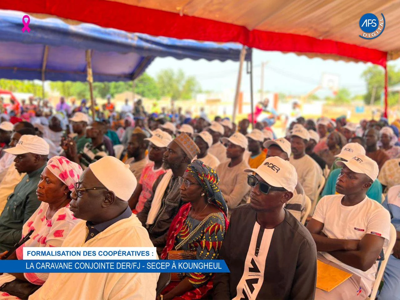 Formalisation des coopérative : La caravane conjointe DER / FJ - SECEP à Koungheul 