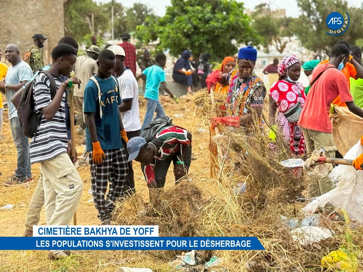 Cimetière Bakhya de Yoff : Les populations s'investissent pour le désherbage