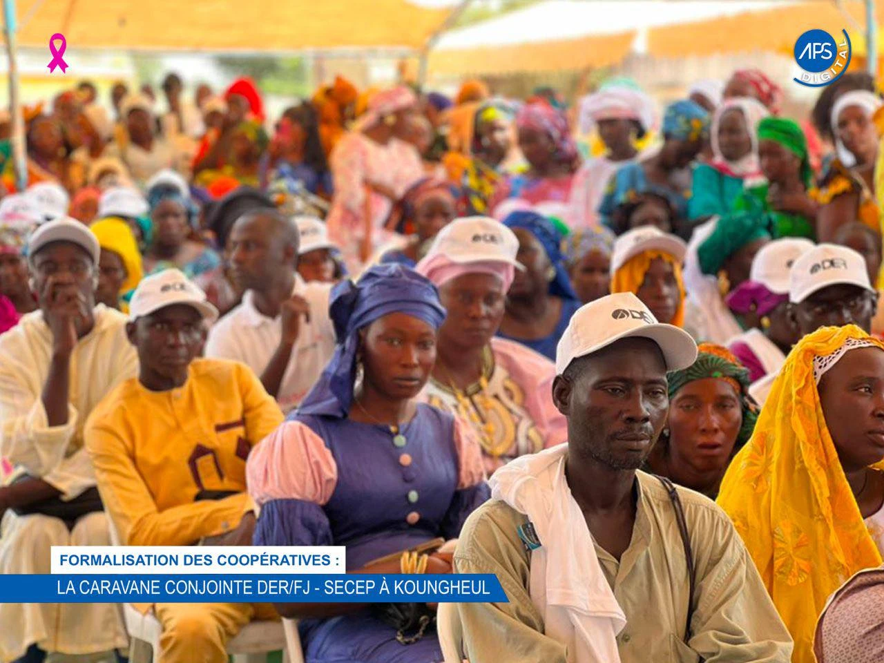 Formalisation des coopérative : La caravane conjointe DER / FJ - SECEP à Koungheul 