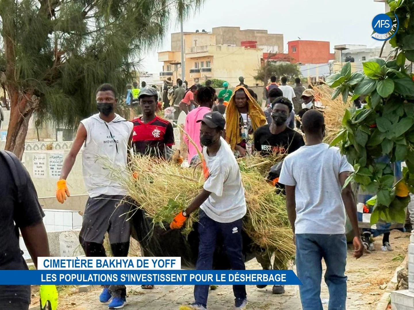 Cimetière Bakhya de Yoff : Les populations s'investissent pour le désherbage
