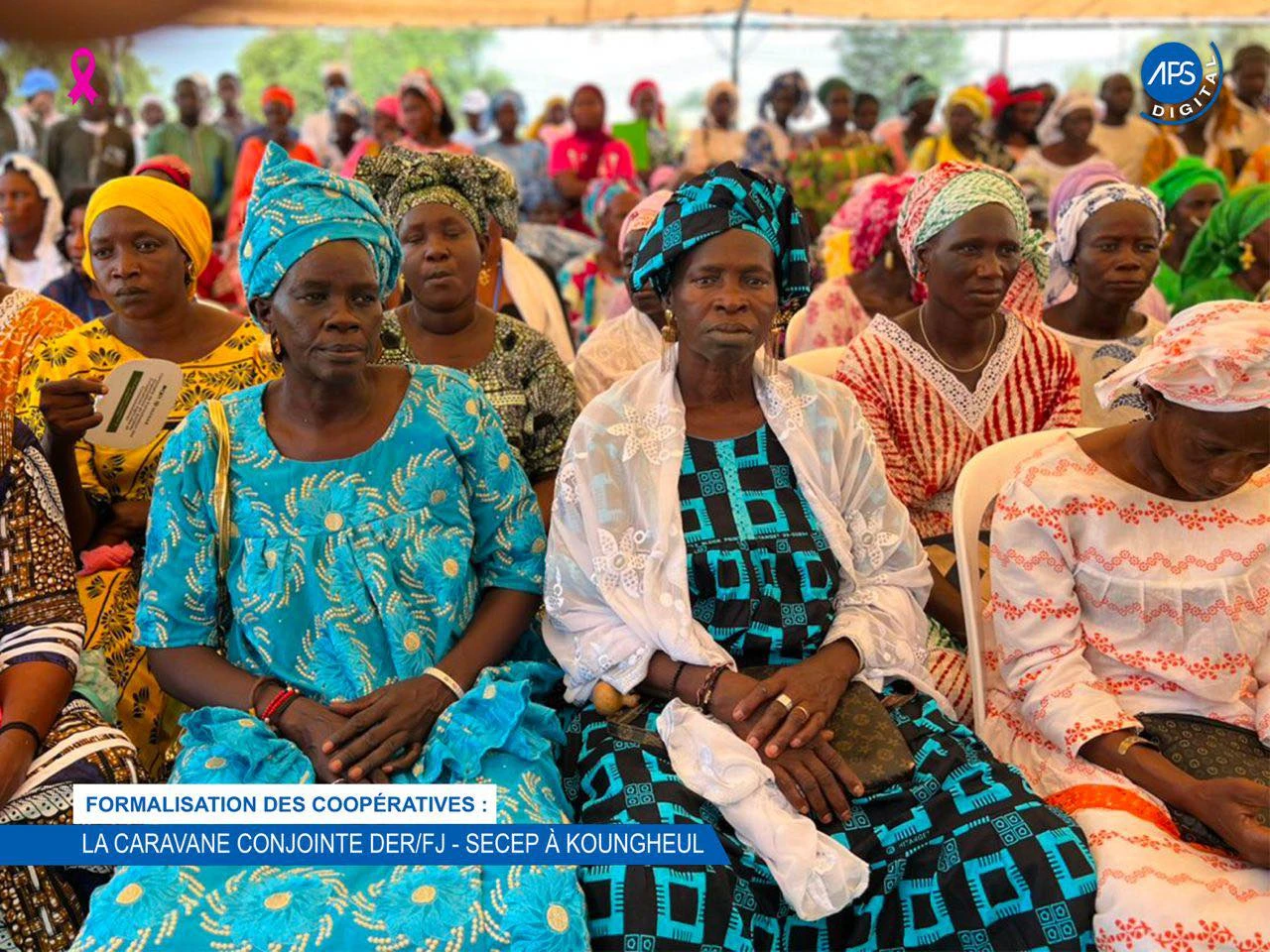 Formalisation des coopérative : La caravane conjointe DER / FJ - SECEP à Koungheul 