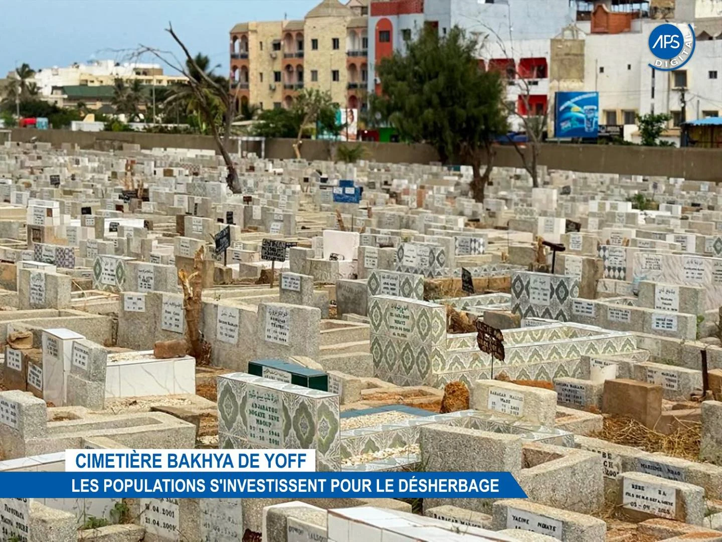 Cimetière Bakhya de Yoff : Les populations s'investissent pour le désherbage