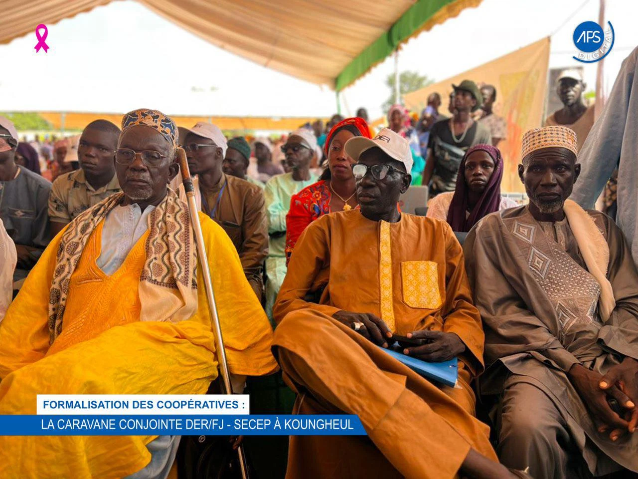 Formalisation des coopérative : La caravane conjointe DER / FJ - SECEP à Koungheul 