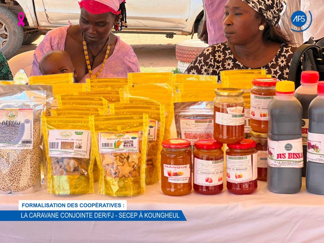 Formalisation des coopérative : La caravane conjointe DER / FJ - SECEP à Koungheul 