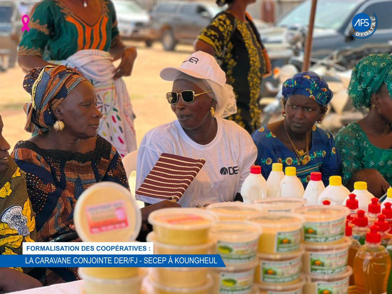 Formalisation des coopérative : La caravane conjointe DER / FJ - SECEP à Koungheul 