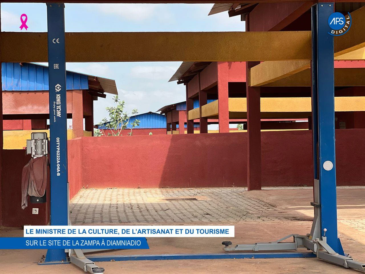Le ministre de la Culture, de l’Artisanat et du Tourisme sur le site de la ZAMPA à Diamniadio