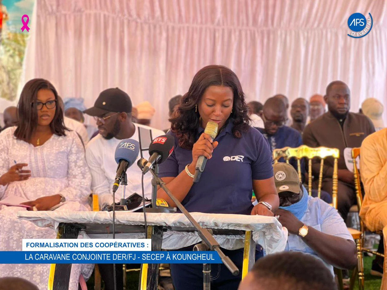 Formalisation des coopérative : La caravane conjointe DER / FJ - SECEP à Koungheul 