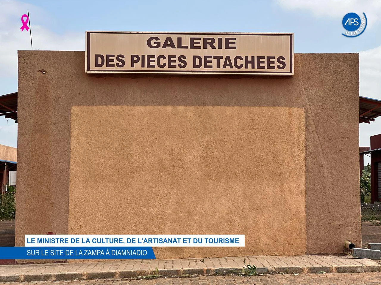 Le ministre de la Culture, de l’Artisanat et du Tourisme sur le site de la ZAMPA à Diamniadio