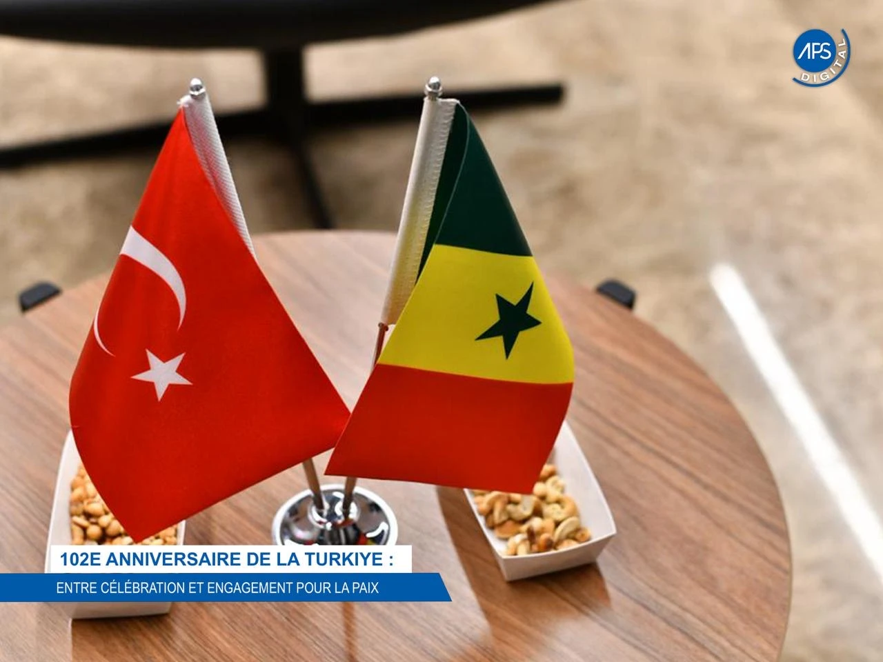 102e anniversaire de la Turkiye : entre célébration et engagement pour la paix