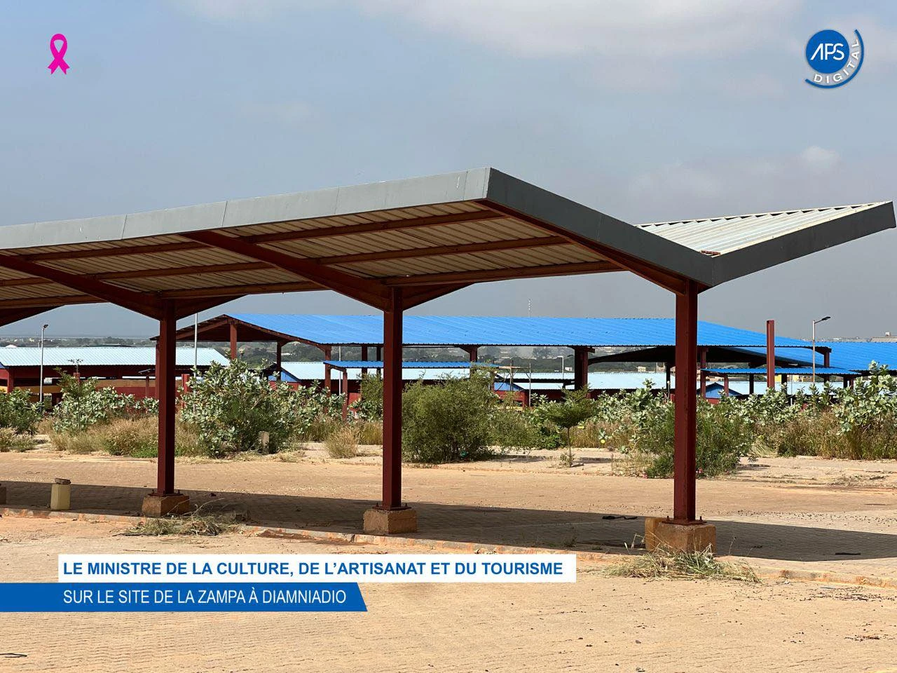 Le ministre de la Culture, de l’Artisanat et du Tourisme sur le site de la ZAMPA à Diamniadio