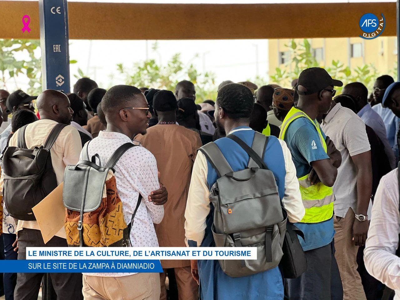 Le ministre de la Culture, de l’Artisanat et du Tourisme sur le site de la ZAMPA à Diamniadio