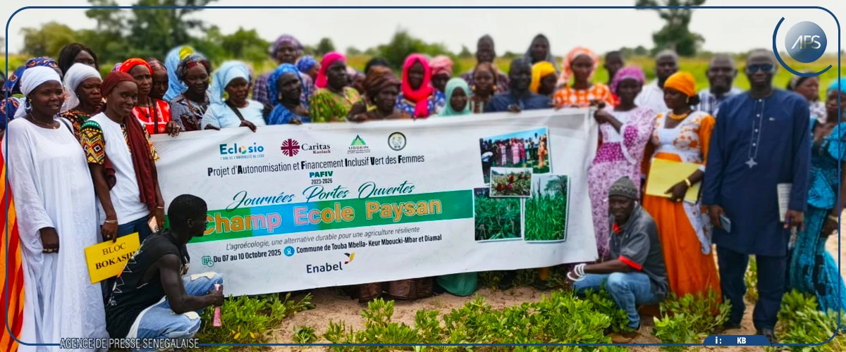Birkelane : plus de 500 femmes outillées dans la gestion des champs écoles paysans