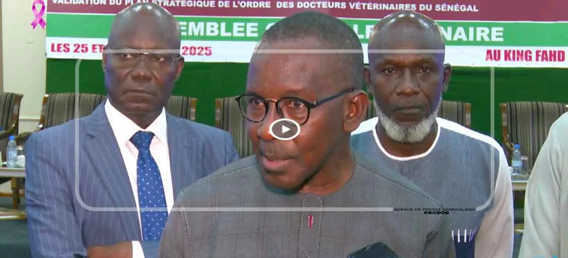 L’Ordre des docteurs vétérinaires du Sénégal adopte son plan stratégique 2025-2030