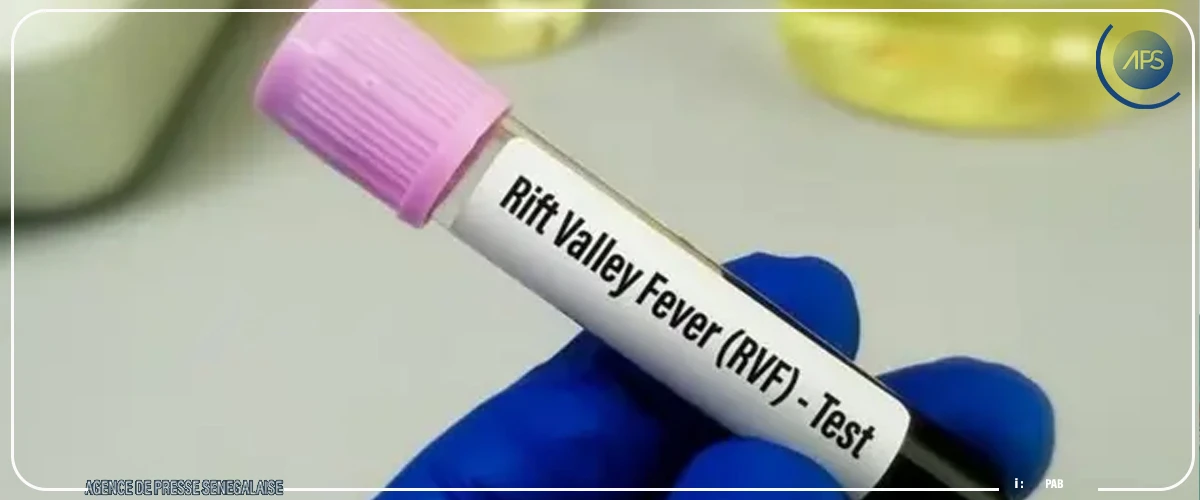 Fièvre de la vallée du Rift : 25 décès enregistrés sur 287 cas recensés (officiel)