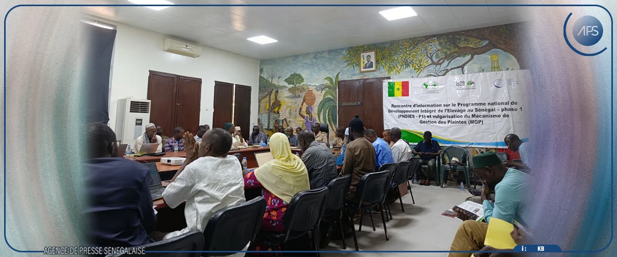 Diourbel : un projet veut créer des parcs de vaccination et une plateforme de production ovine