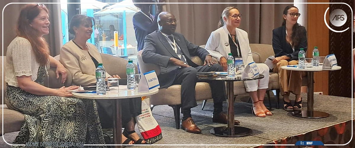 Déficit d'enseignants en sciences : le Sénégal en voie de résorber le gap (officiel)